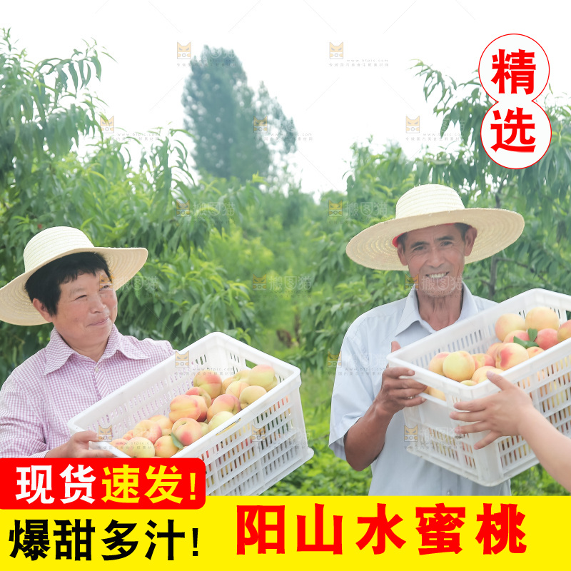 手里拿着现摘水蜜桃