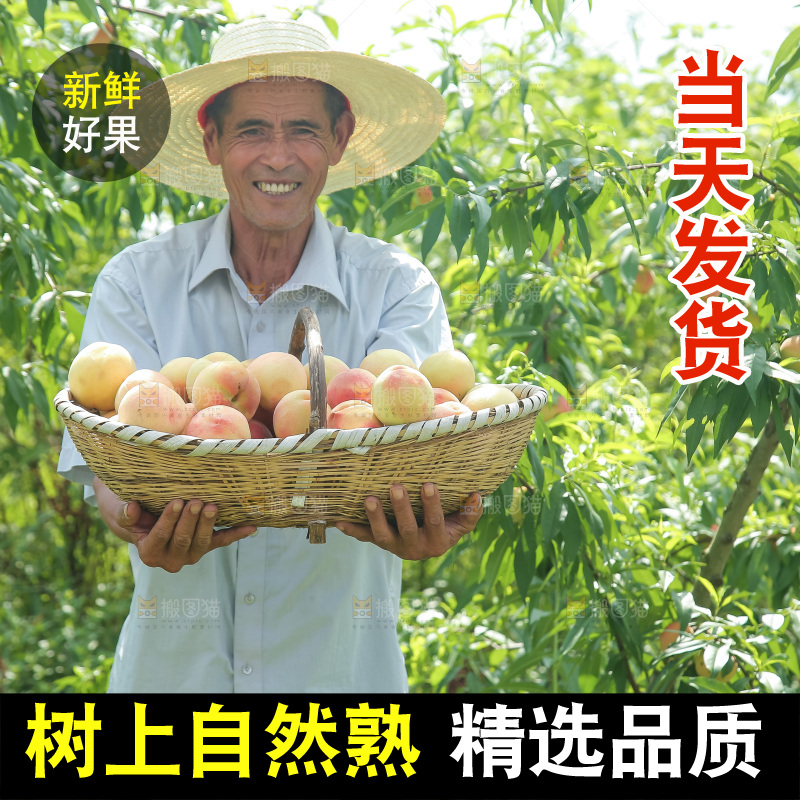 手里拿着现摘水蜜桃