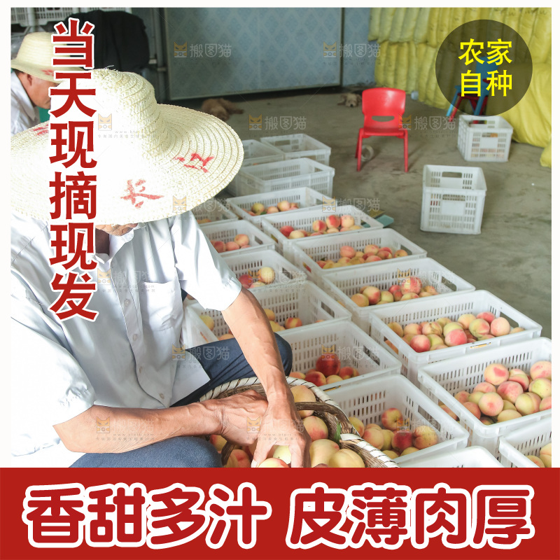 手里拿着现摘水蜜桃