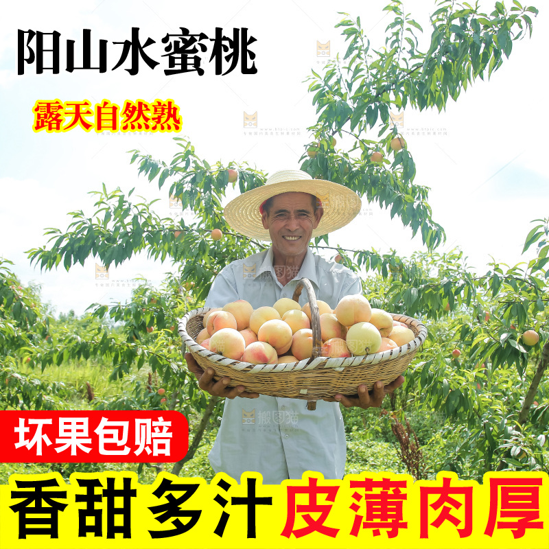 手里拿着现摘水蜜桃