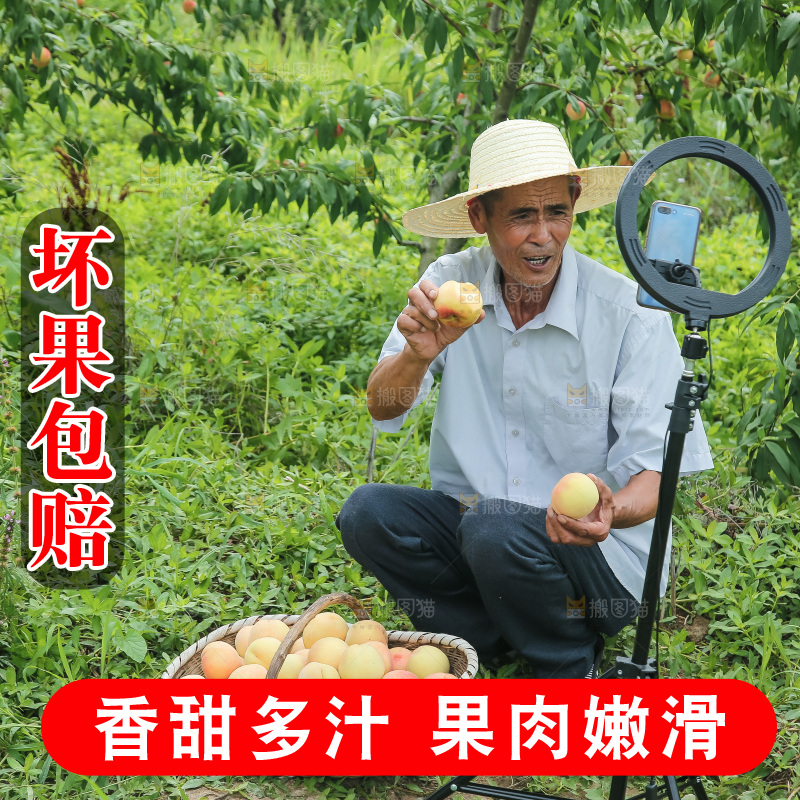 手里拿着现摘水蜜桃