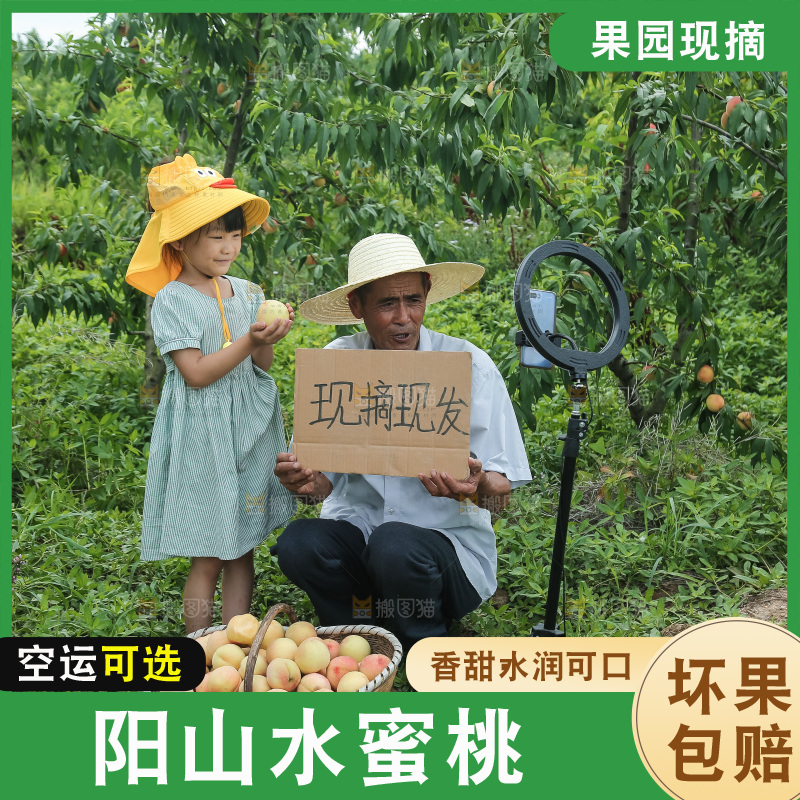 手里拿着现摘水蜜桃