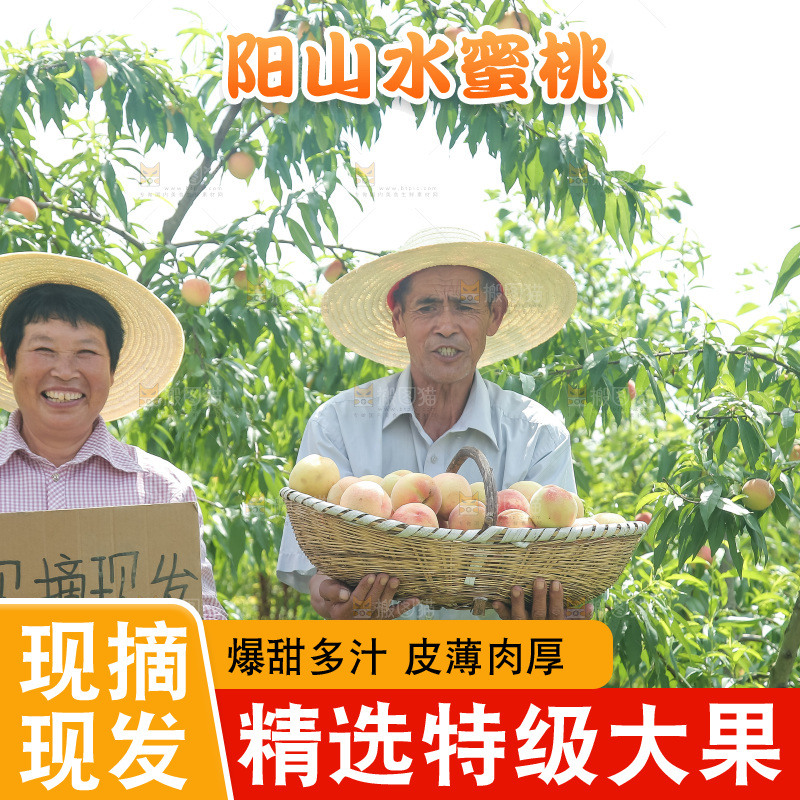 手里拿着现摘水蜜桃