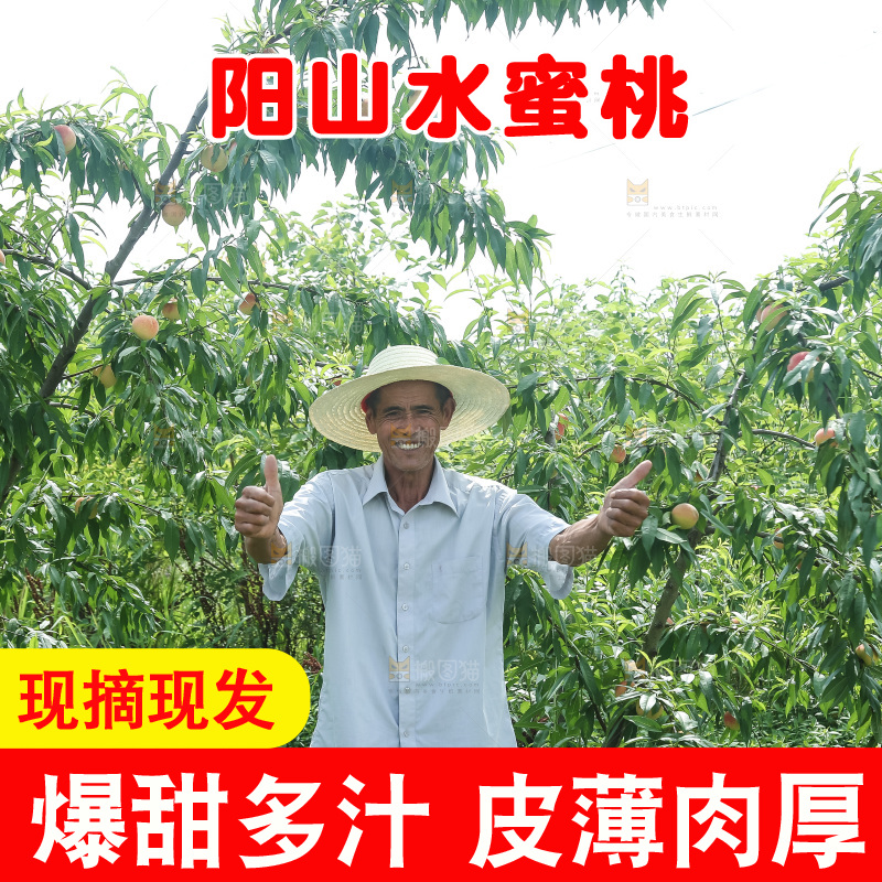 手里拿着现摘水蜜桃