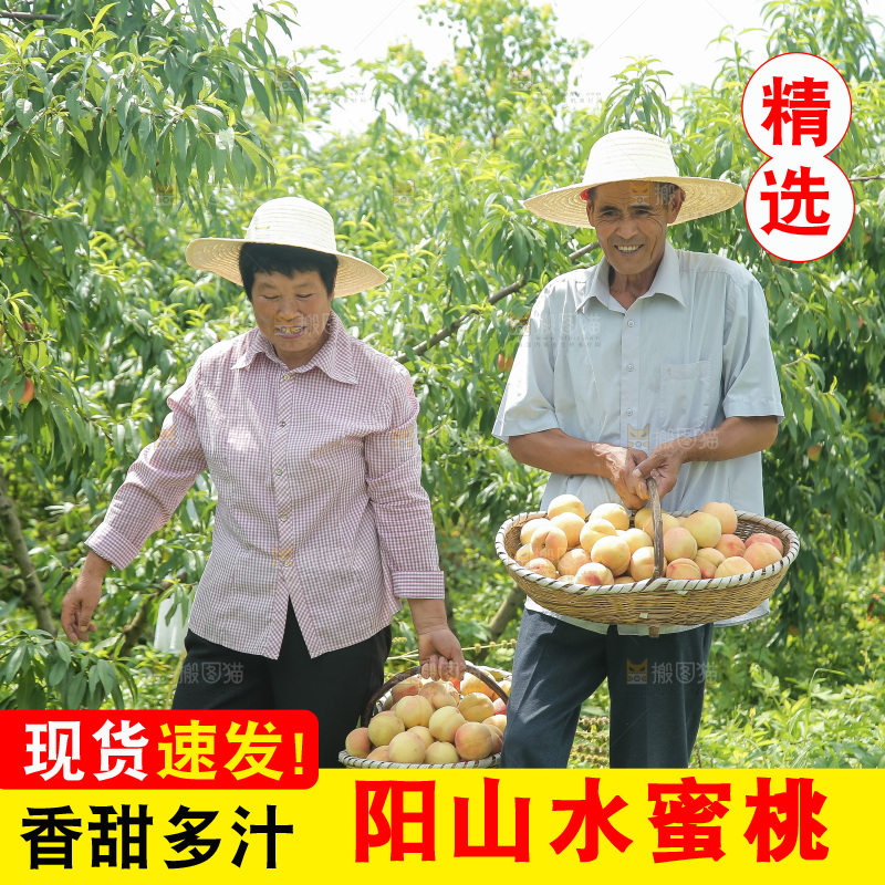 手里拿着现摘水蜜桃