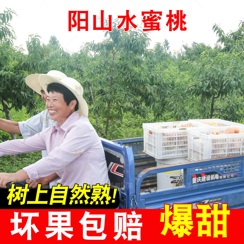 手里拿着现摘水蜜桃