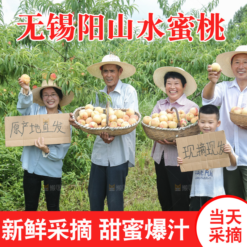 手里拿着现摘水蜜桃