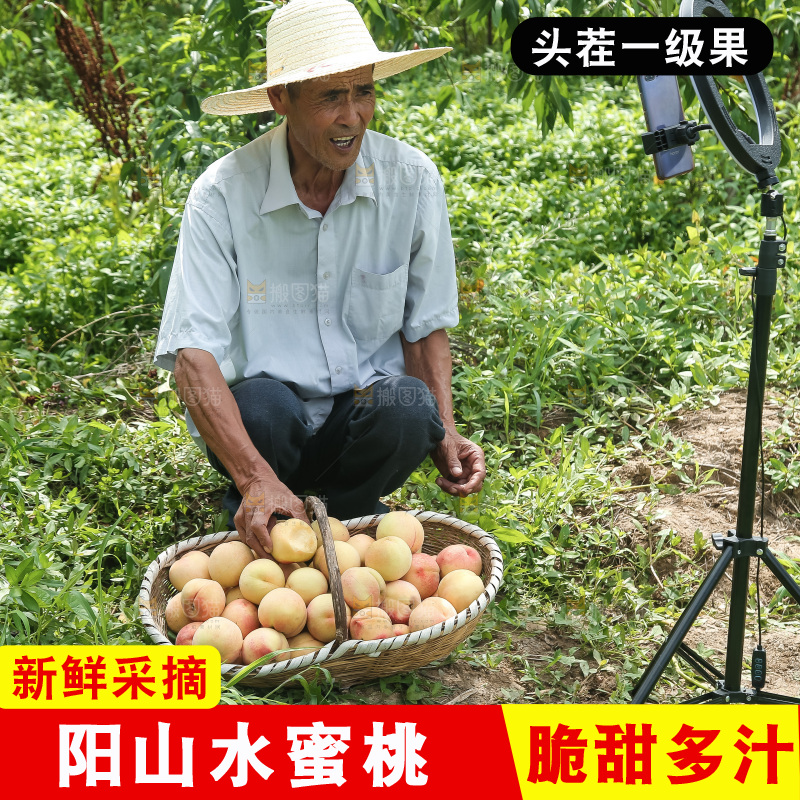 手里拿着现摘水蜜桃