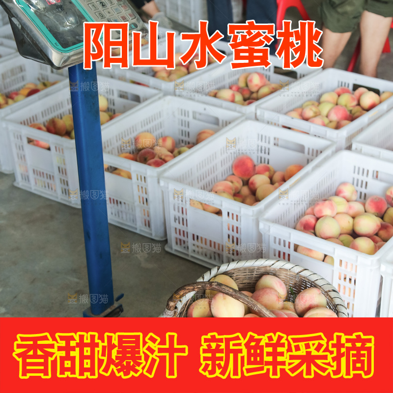 手里拿着现摘水蜜桃