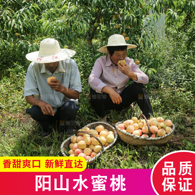 手里拿着现摘水蜜桃
