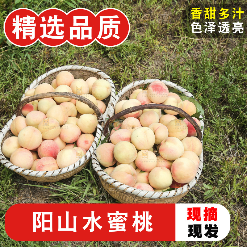 手里拿着现摘水蜜桃
