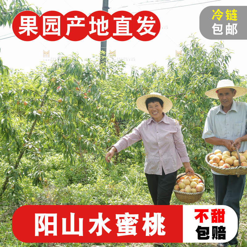 手里拿着现摘水蜜桃