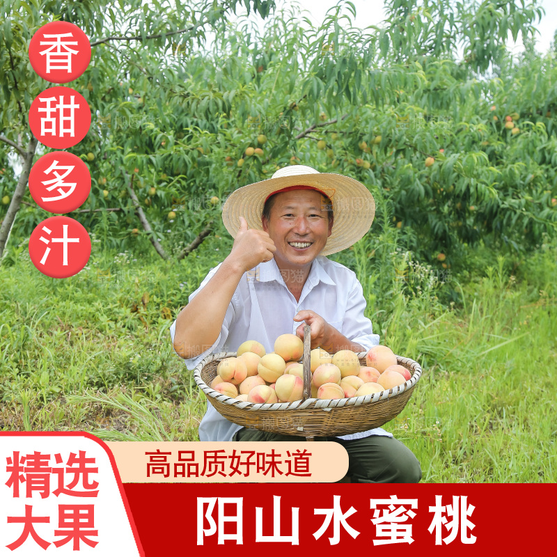 手里拿着现摘水蜜桃