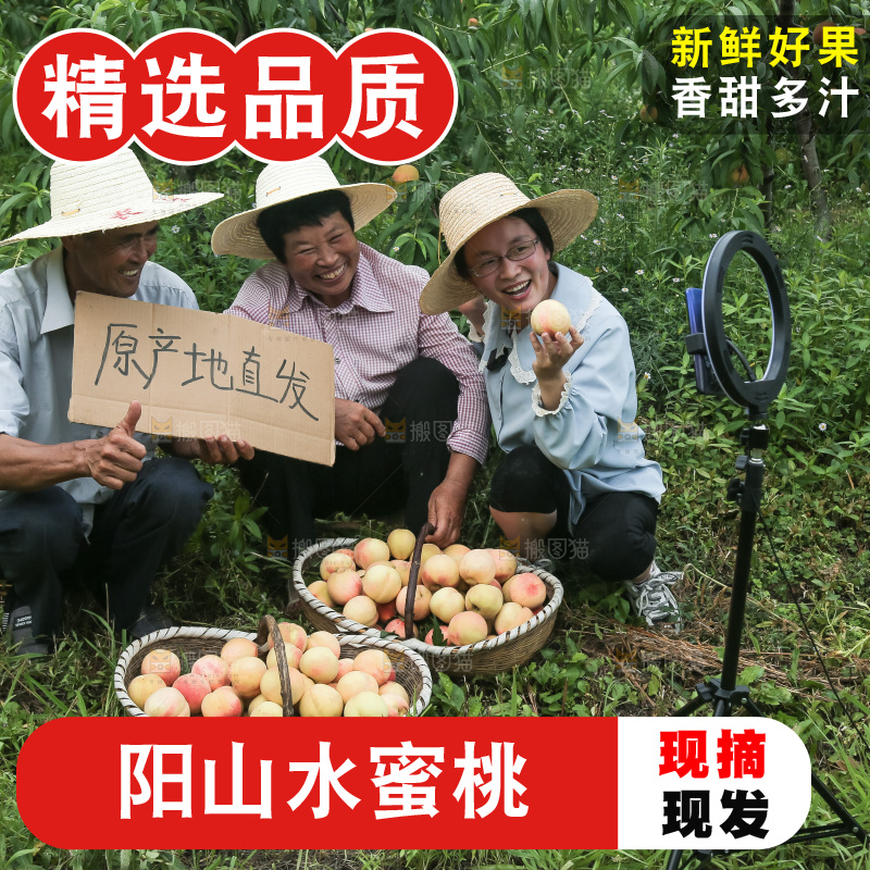 手里拿着现摘水蜜桃