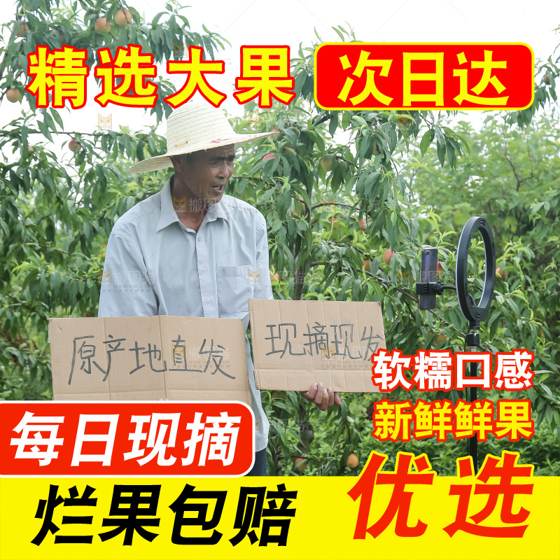 手里拿着现摘水蜜桃