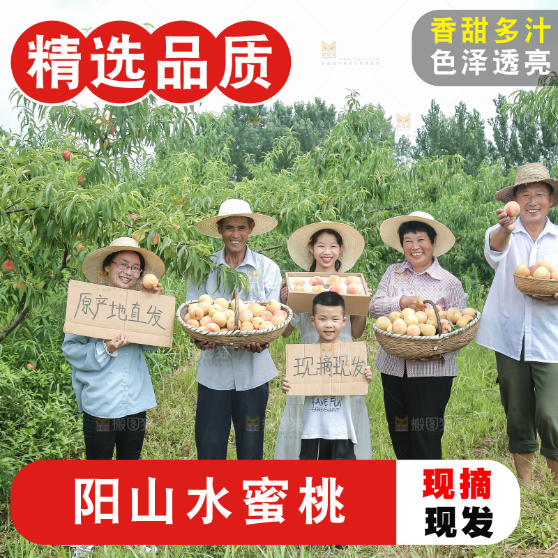 手里拿着现摘水蜜桃