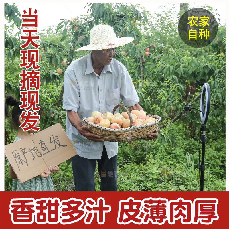 手里拿着现摘水蜜桃