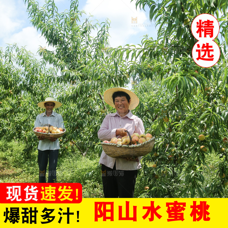 手里拿着现摘水蜜桃