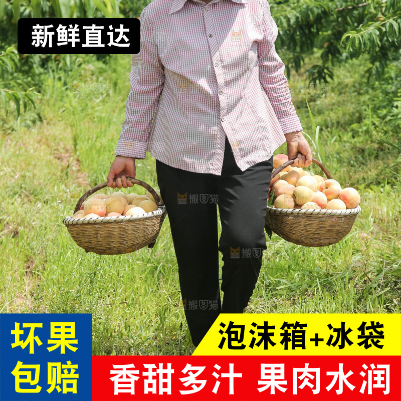 手里拿着现摘水蜜桃