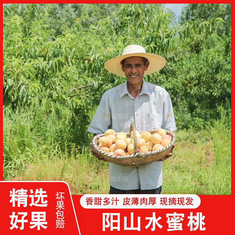 手里拿着现摘水蜜桃