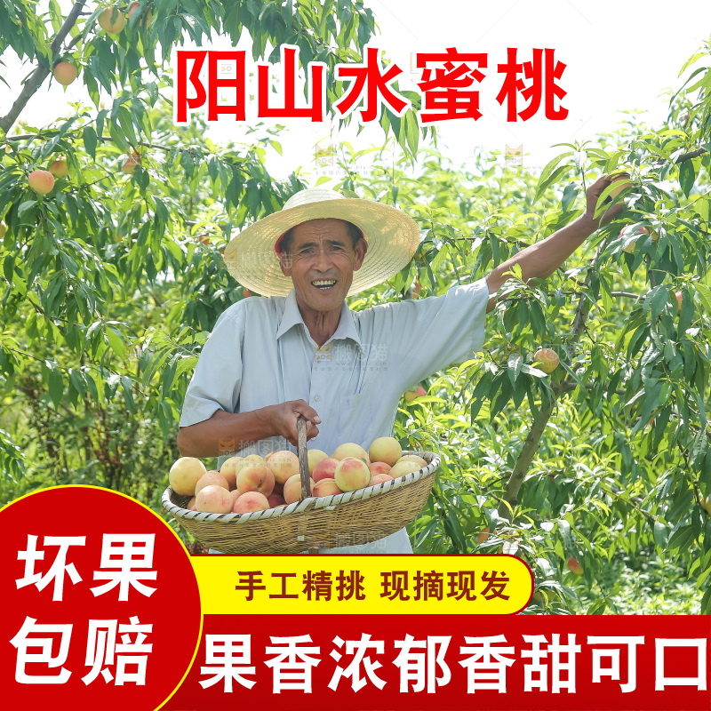 手里拿着现摘水蜜桃
