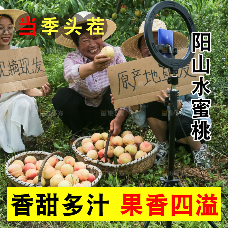 手里拿着现摘水蜜桃