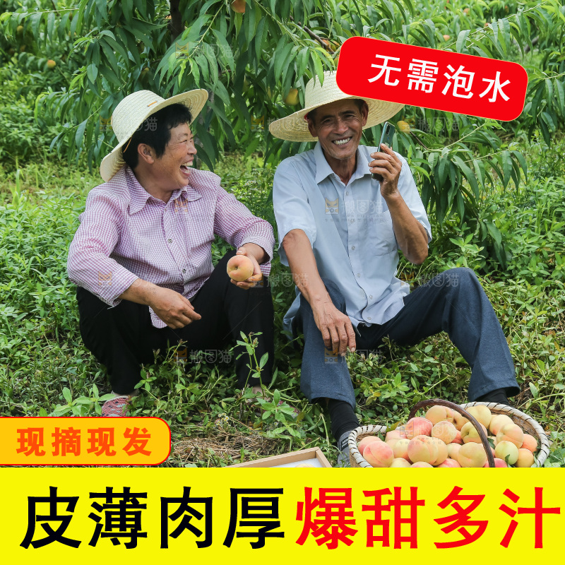 手里拿着现摘水蜜桃