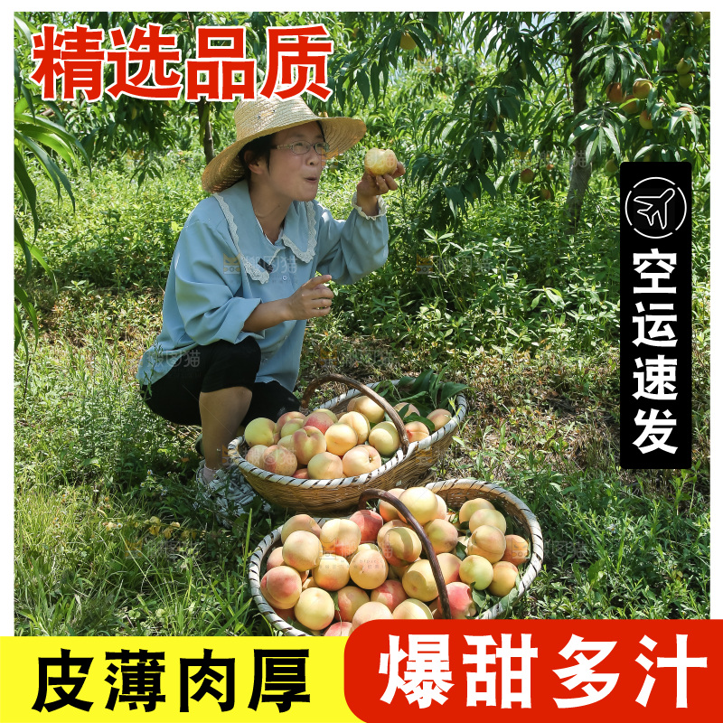手里拿着现摘水蜜桃