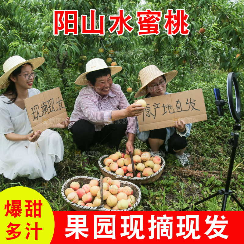 手里拿着现摘水蜜桃