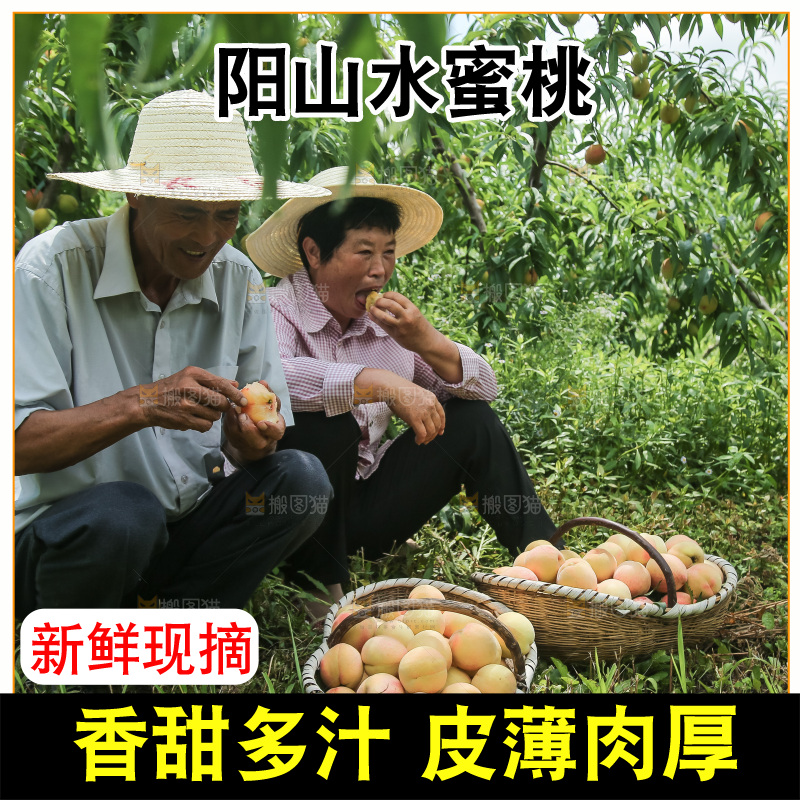 手里拿着现摘水蜜桃