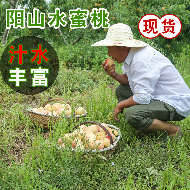 手里拿着现摘水蜜桃