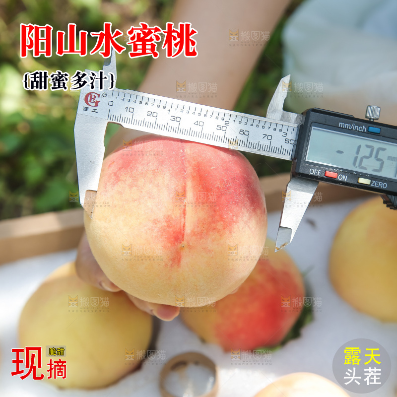 手里拿着现摘水蜜桃