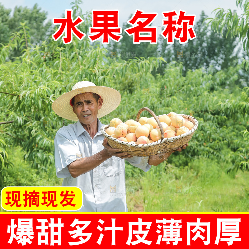 手里拿着现摘水蜜桃