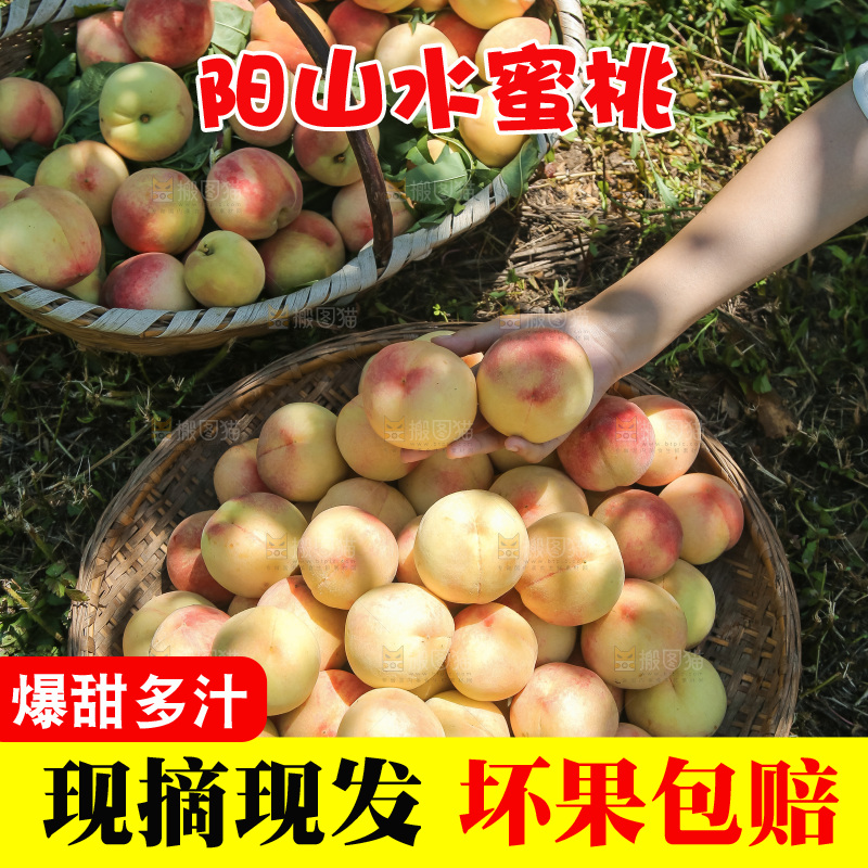 手里拿着现摘水蜜桃