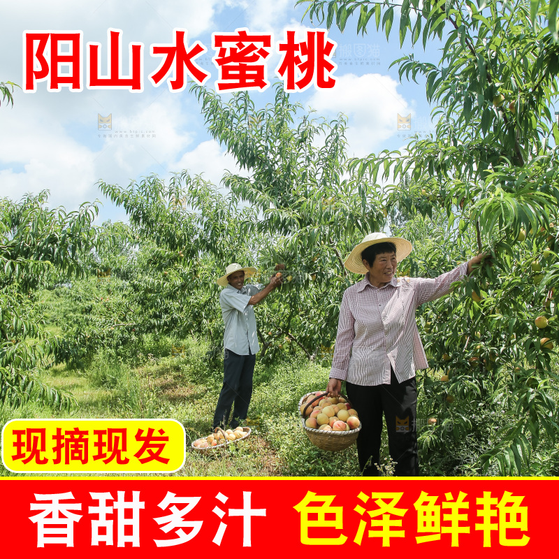 手里拿着现摘水蜜桃