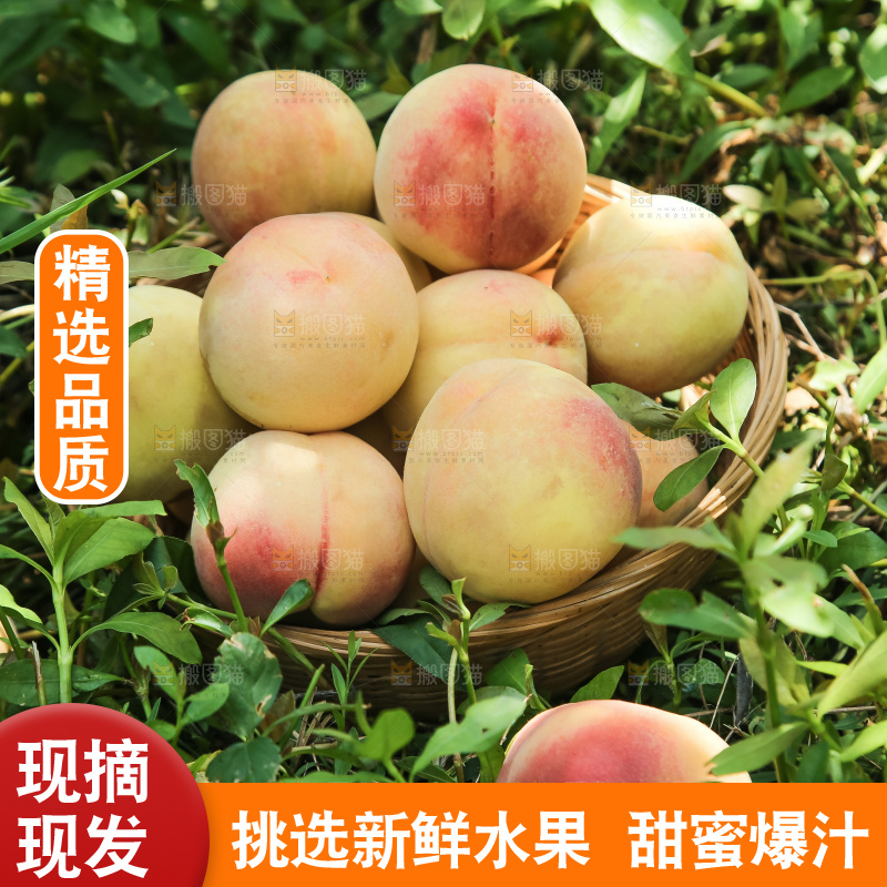 手里拿着现摘水蜜桃