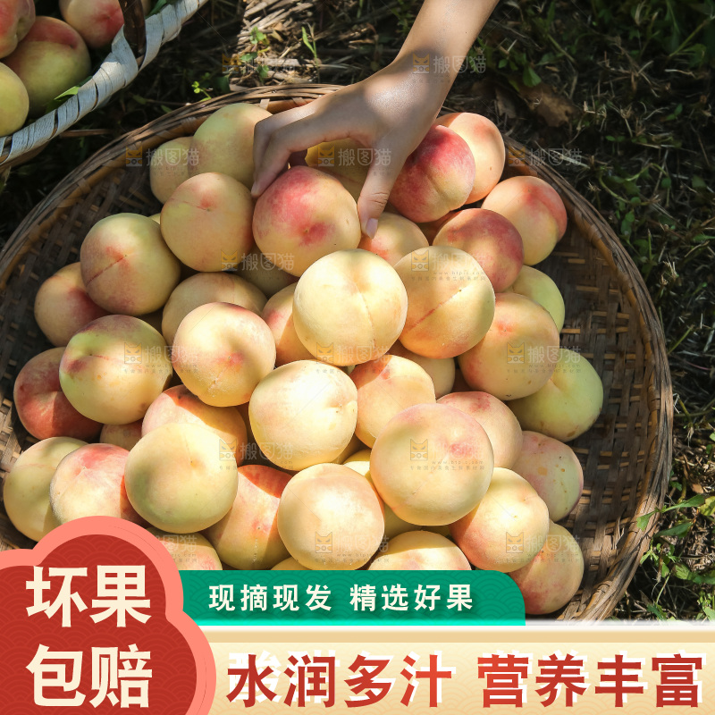 手里拿着现摘水蜜桃