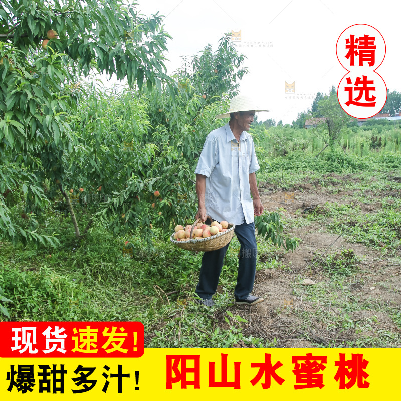 手里拿着现摘水蜜桃