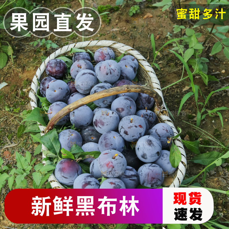 新鲜现摘黑布林