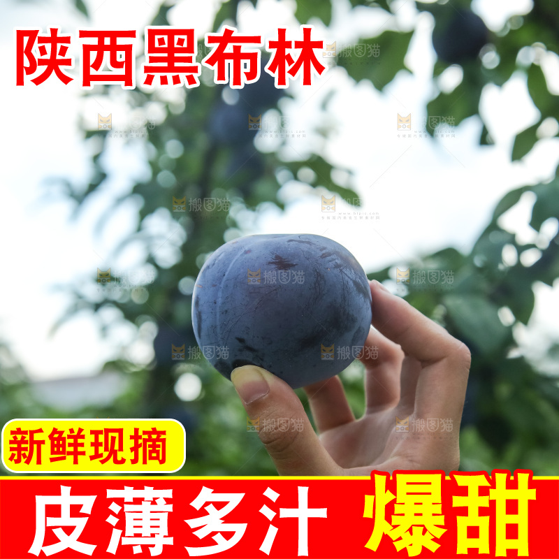 新鲜现摘黑布林