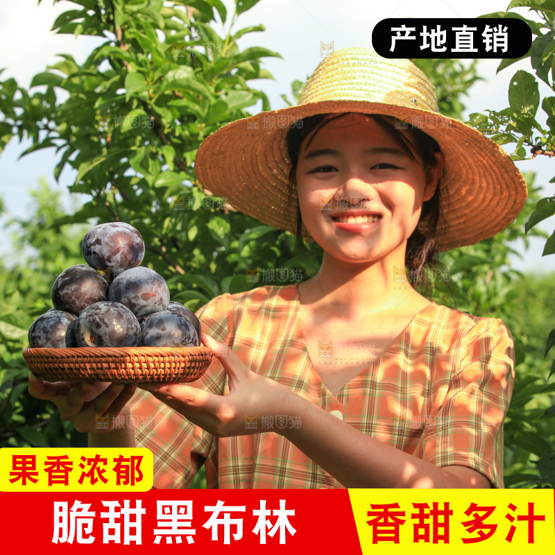 新鲜现摘黑布林
