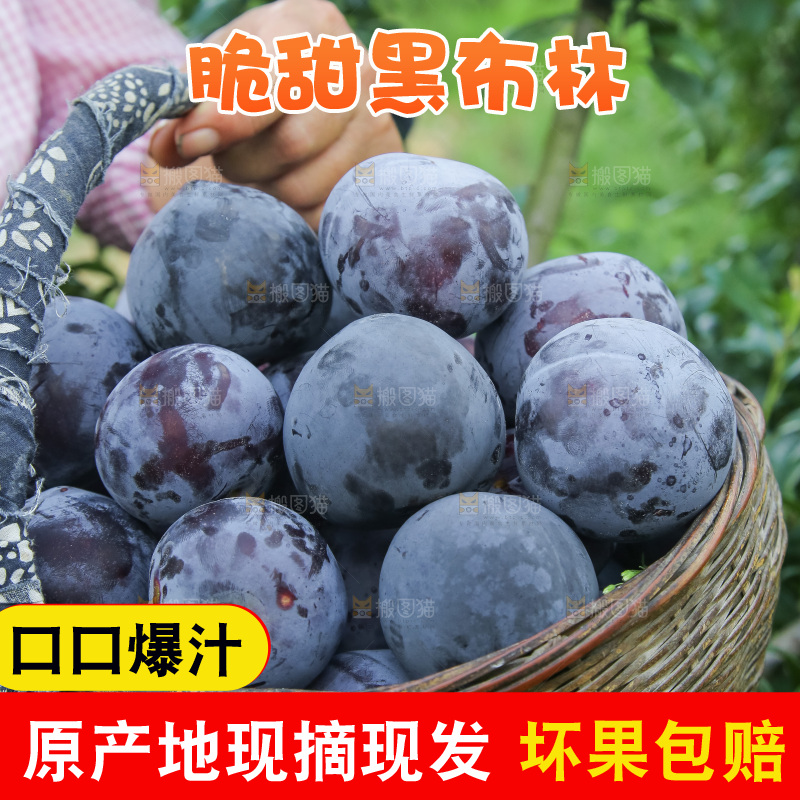 新鲜现摘黑布林