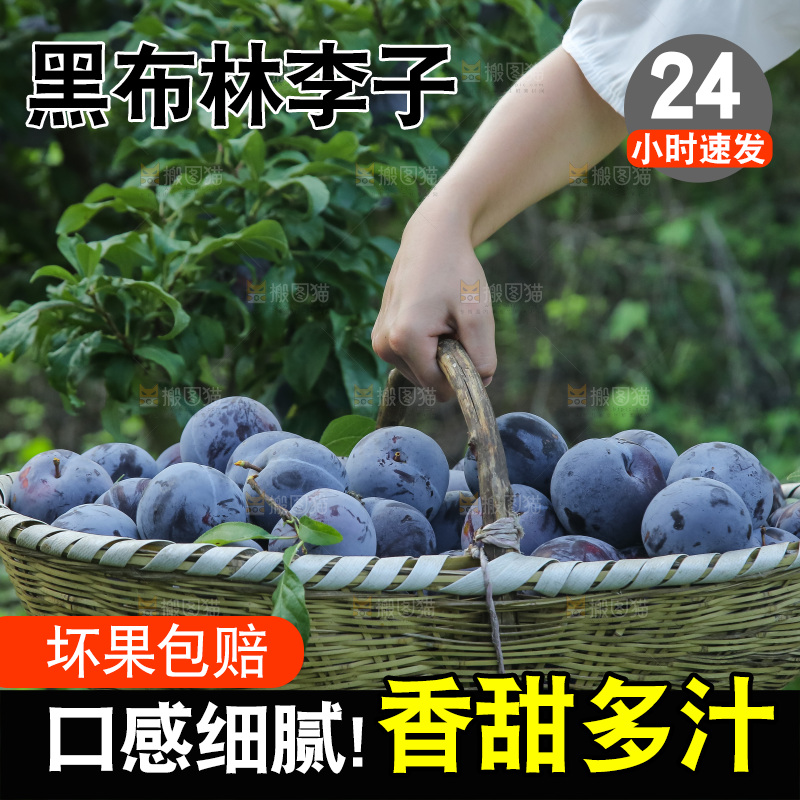 新鲜现摘黑布林