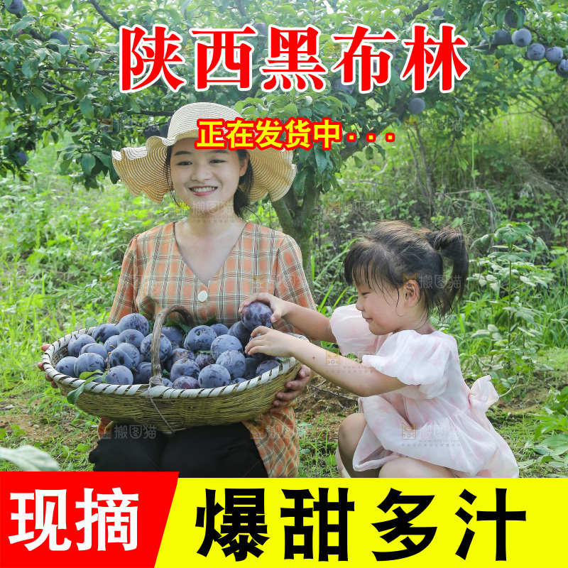 新鲜现摘黑布林