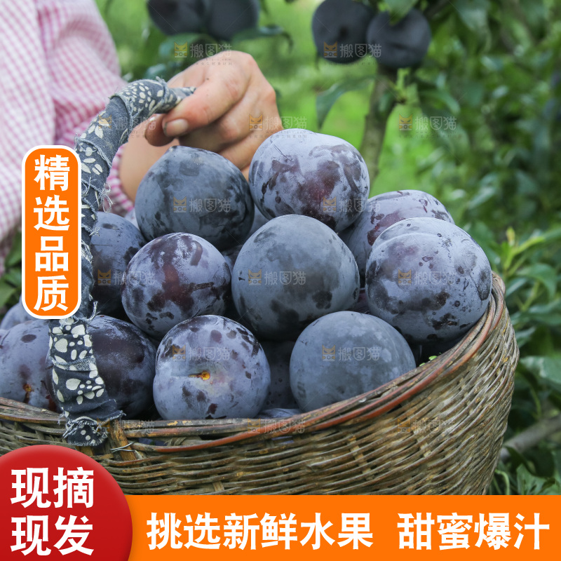 新鲜现摘黑布林