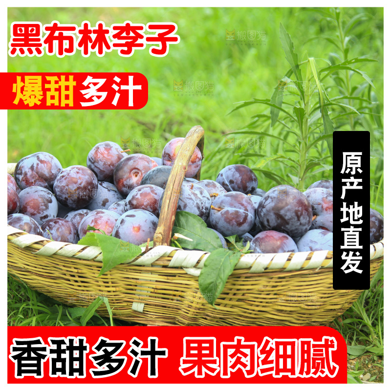 新鲜现摘黑布林