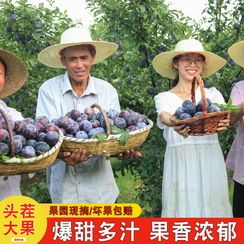 新鲜现摘黑布林