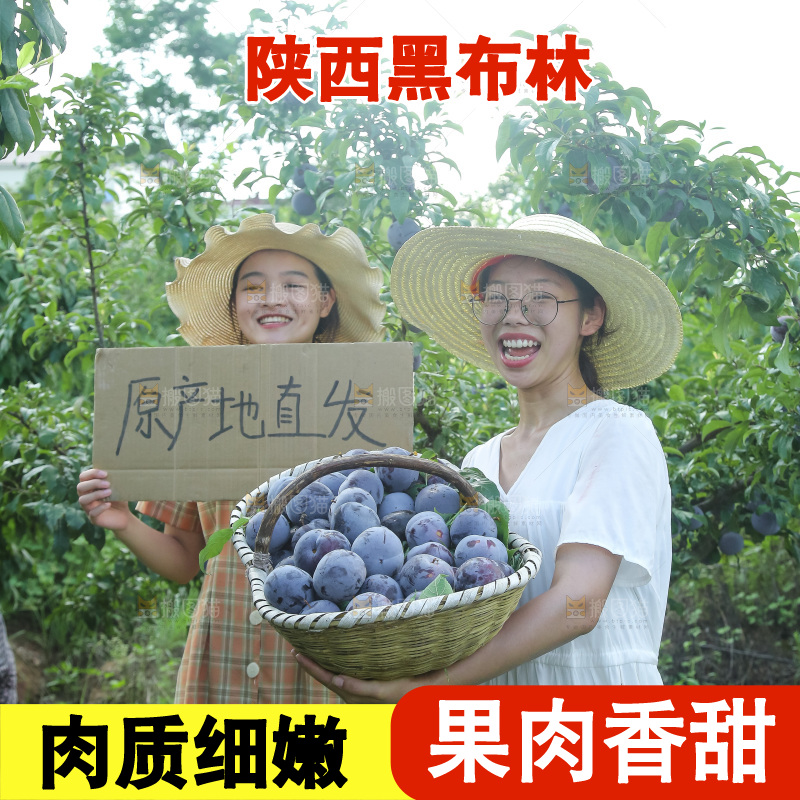新鲜现摘黑布林