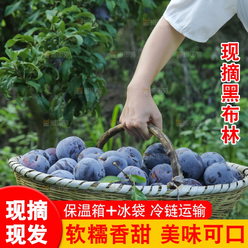 新鲜现摘黑布林