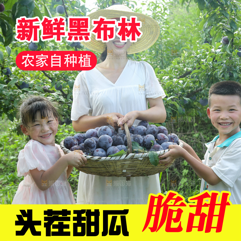 新鲜现摘黑布林